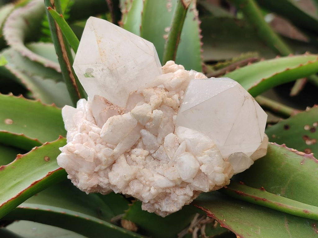 Natural Malagasy Quartz Clusters x 12 From Madagascar - Toprock Gemstones and Minerals 