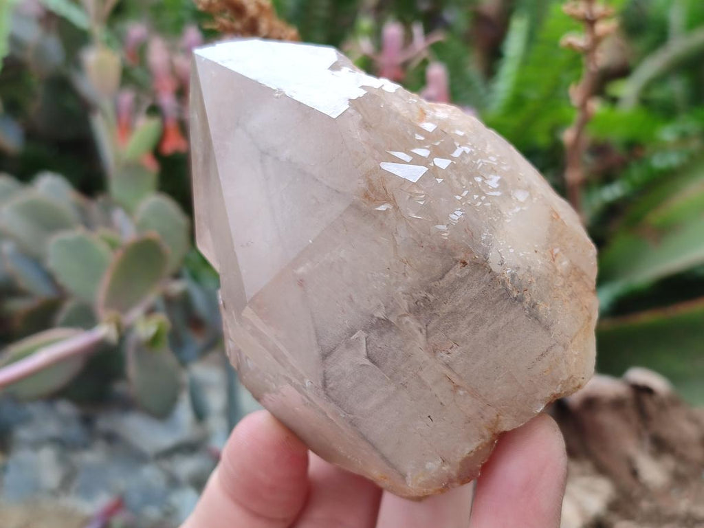 Natural Malagasy Quartz Clusters x 12 From Madagascar - Toprock Gemstones and Minerals 