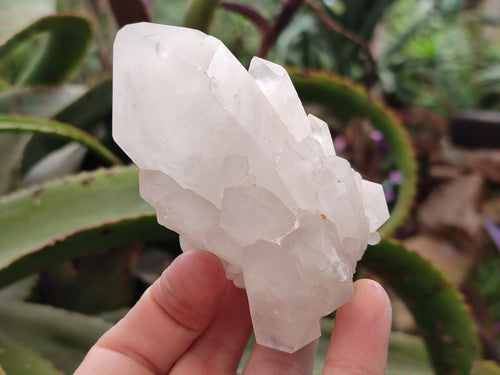 Natural Malagasy Quartz Clusters x 12 From Madagascar - Toprock Gemstones and Minerals 