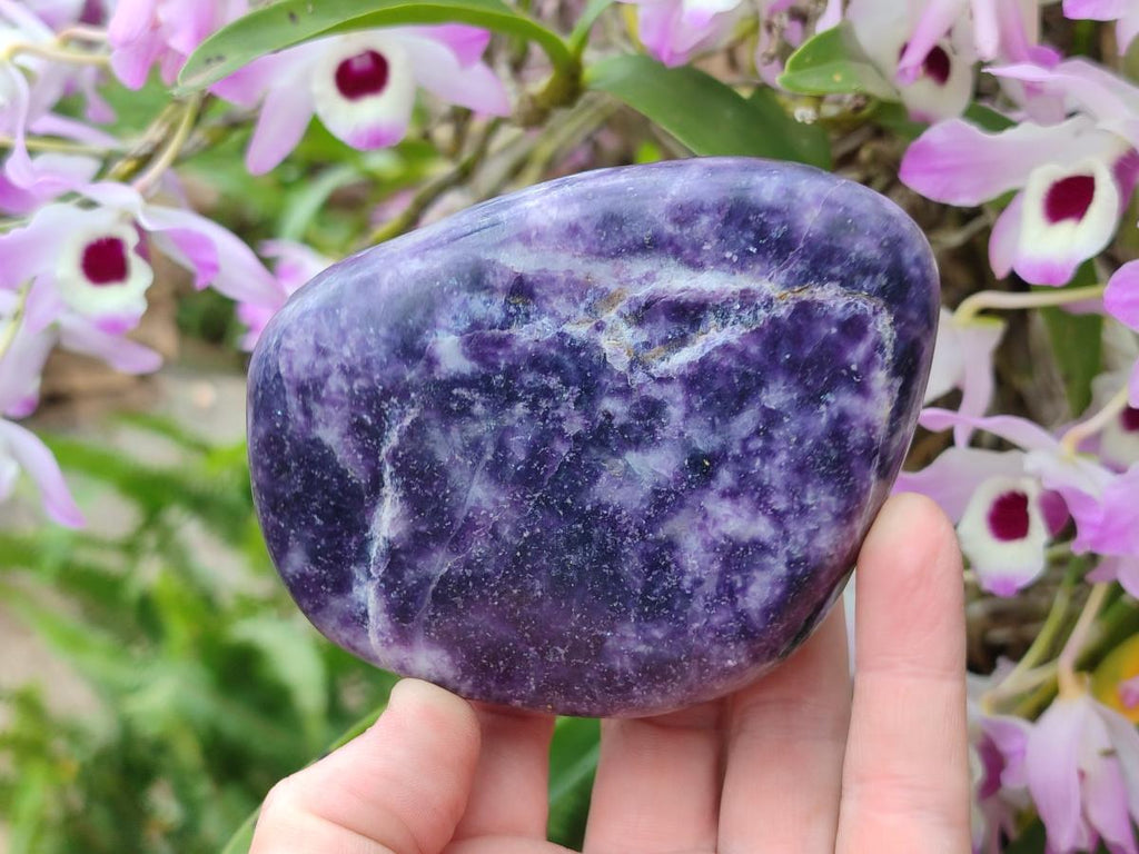 Polished Large Lepidolite Free Forms x 6 From Zimbabwe - Toprock Gemstones and Minerals 