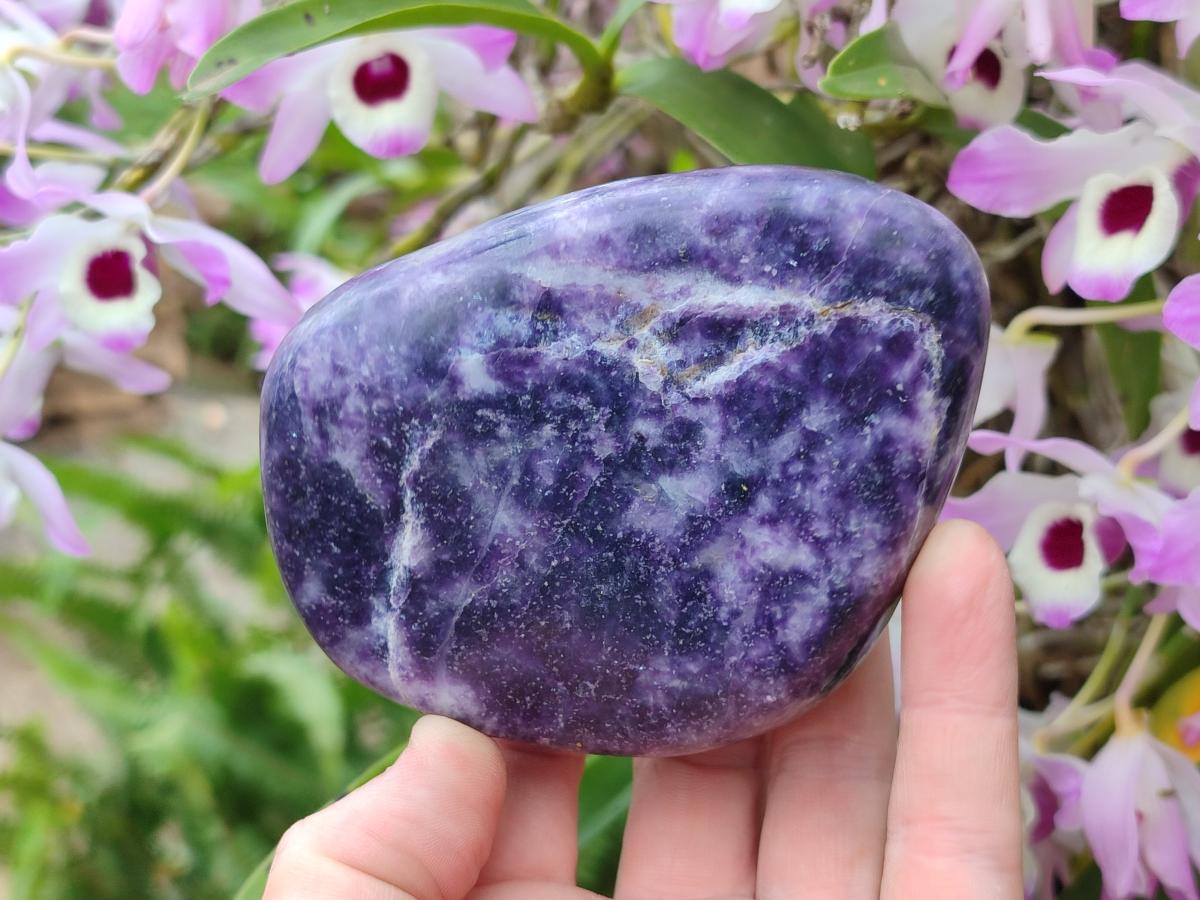 Polished Large Lepidolite Free Forms x 6 From Zimbabwe - Toprock Gemstones and Minerals 