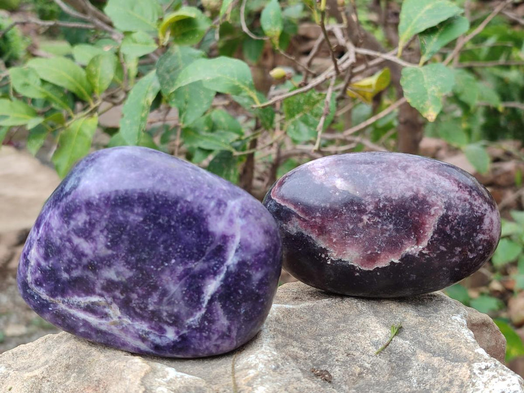 Polished Large Lepidolite Free Forms x 6 From Zimbabwe - Toprock Gemstones and Minerals 