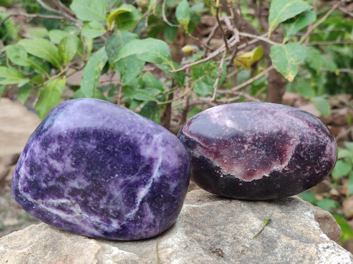 Polished Large Lepidolite Free Forms x 6 From Zimbabwe - Toprock Gemstones and Minerals 