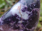 Polished Large Lepidolite Free Forms x 6 From Zimbabwe - Toprock Gemstones and Minerals 