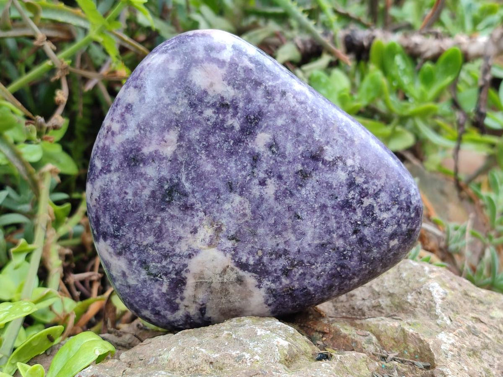 Polished Large Lepidolite Free Forms x 6 From Zimbabwe - Toprock Gemstones and Minerals 