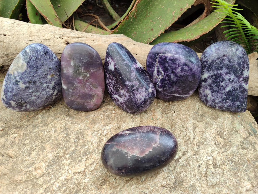 Polished Large Lepidolite Free Forms x 6 From Zimbabwe - Toprock Gemstones and Minerals 