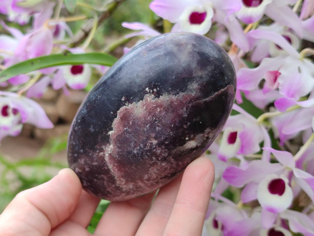 Polished Large Lepidolite Free Forms x 6 From Zimbabwe - Toprock Gemstones and Minerals 