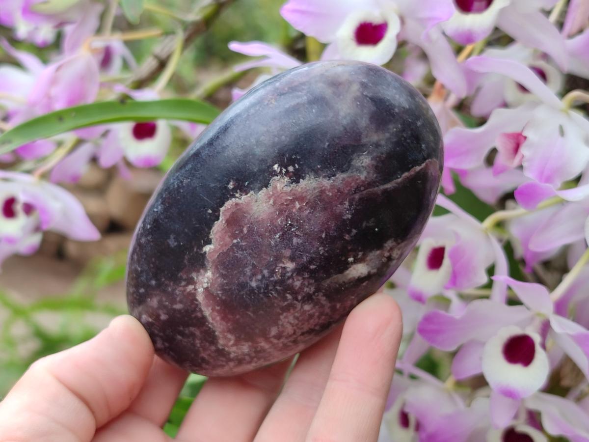 Polished Large Lepidolite Free Forms x 6 From Zimbabwe - Toprock Gemstones and Minerals 