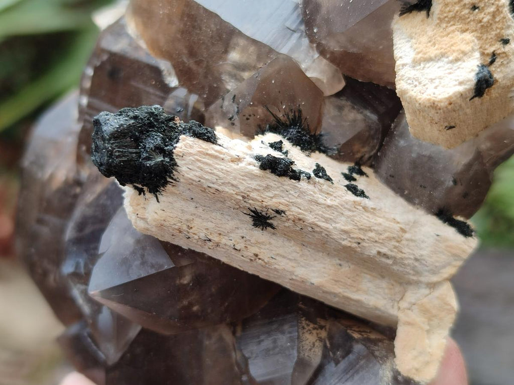 Natural Smokey Quartz Clusters with Associated Minerals x 6 From Erongo, Namibia - Toprock Gemstones and Minerals 