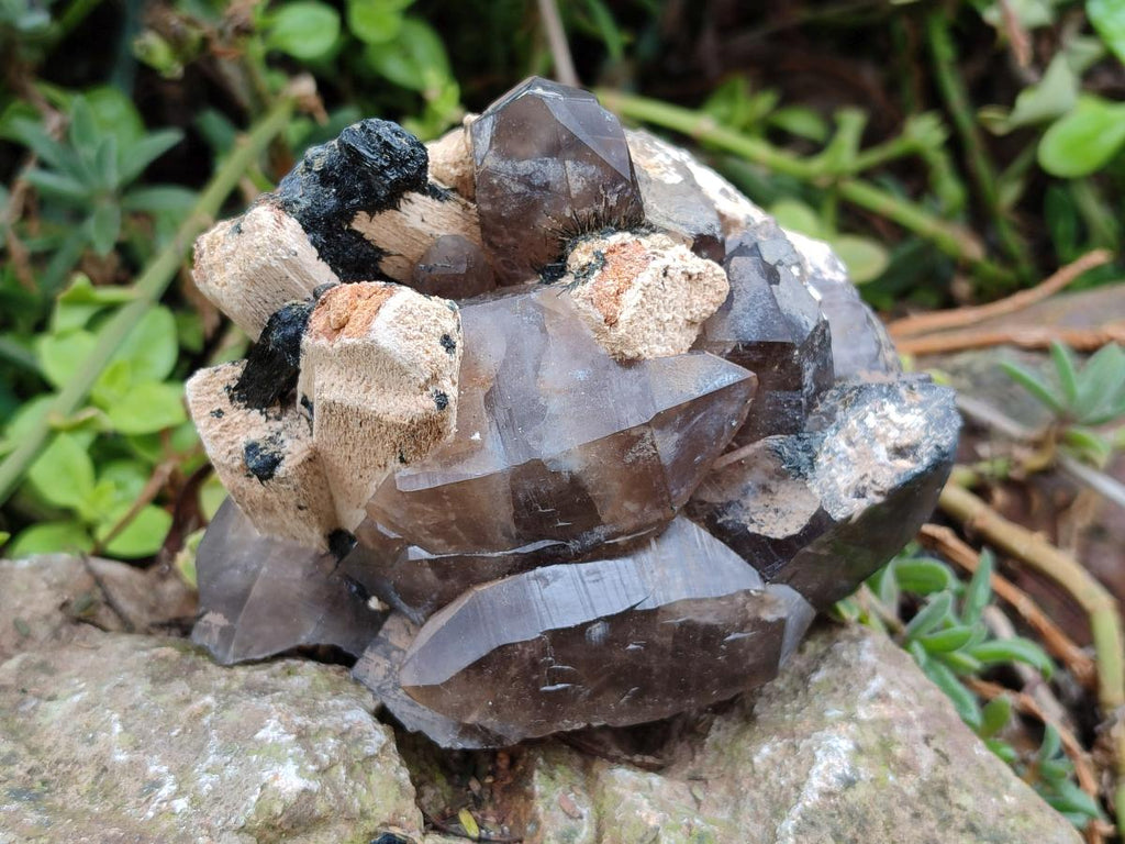Natural Smokey Quartz Clusters with Associated Minerals x 6 From Erongo, Namibia - Toprock Gemstones and Minerals 