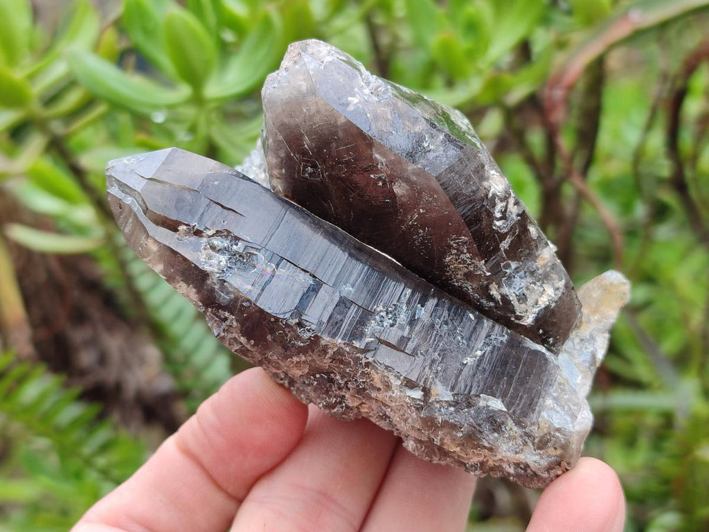 Natural Smokey Quartz Clusters with Associated Minerals x 6 From Erongo, Namibia - Toprock Gemstones and Minerals 