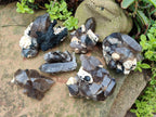 Natural Smokey Quartz Clusters with Associated Minerals x 6 From Erongo, Namibia - Toprock Gemstones and Minerals 