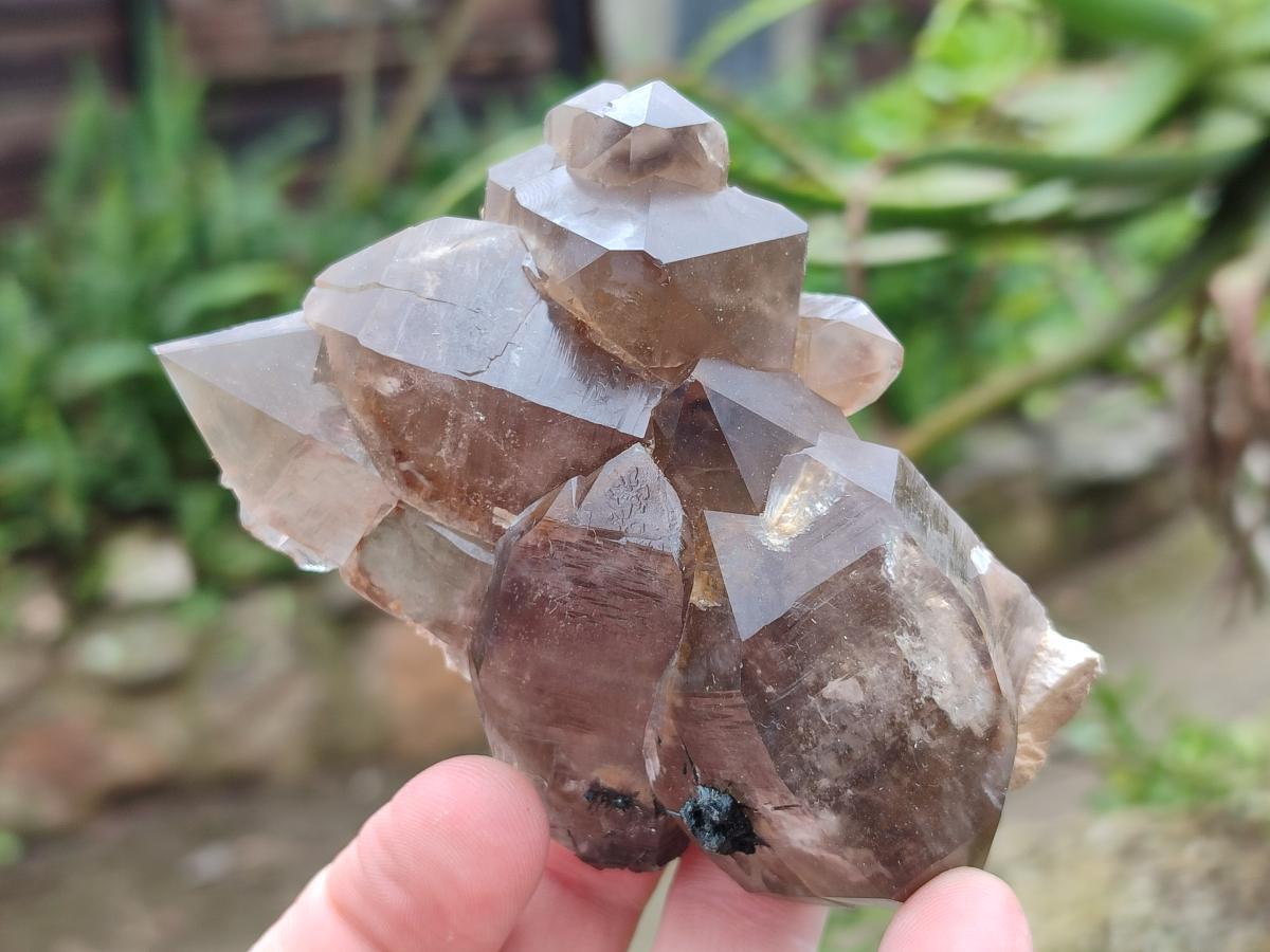 Natural Smokey Quartz Clusters with Associated Minerals x 6 From Erongo, Namibia - Toprock Gemstones and Minerals 