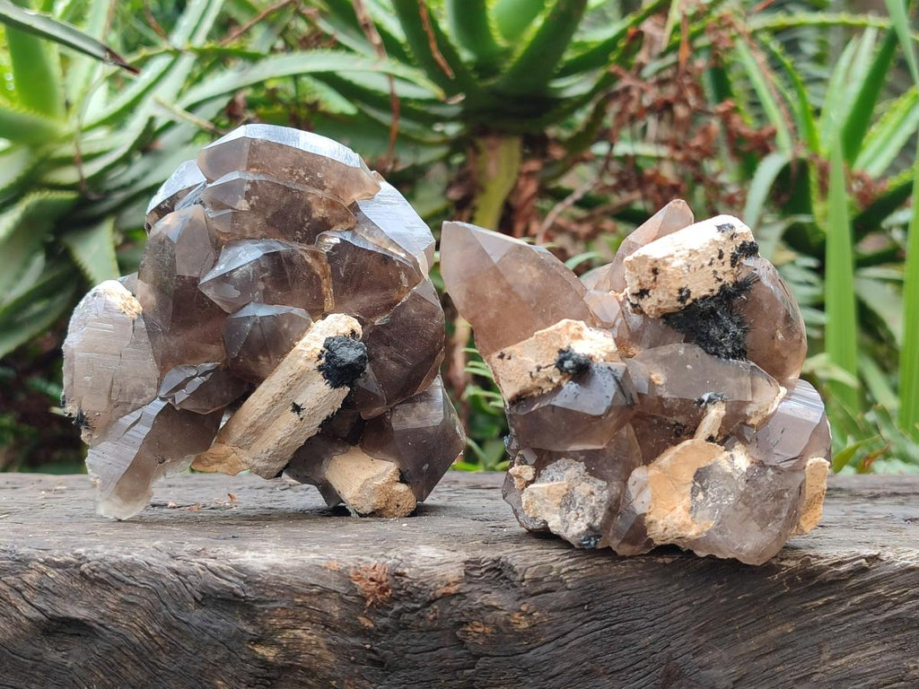 Natural Smokey Quartz Clusters with Associated Minerals x 6 From Erongo, Namibia - Toprock Gemstones and Minerals 