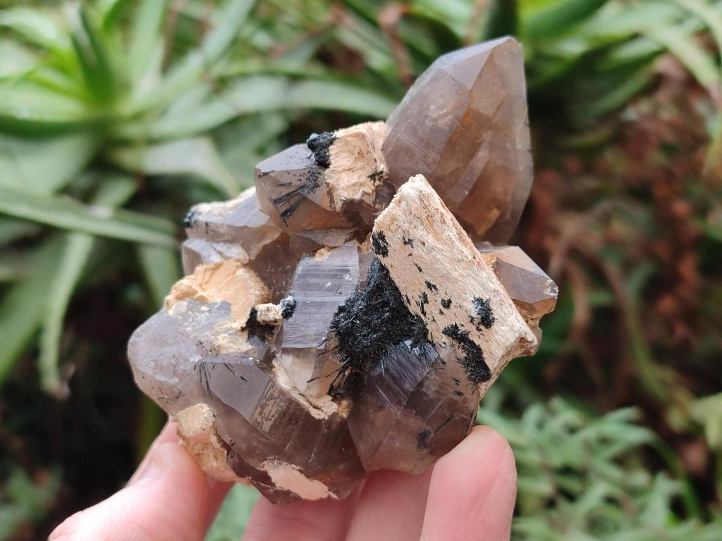 Natural Smokey Quartz Clusters with Associated Minerals x 6 From Erongo, Namibia - Toprock Gemstones and Minerals 