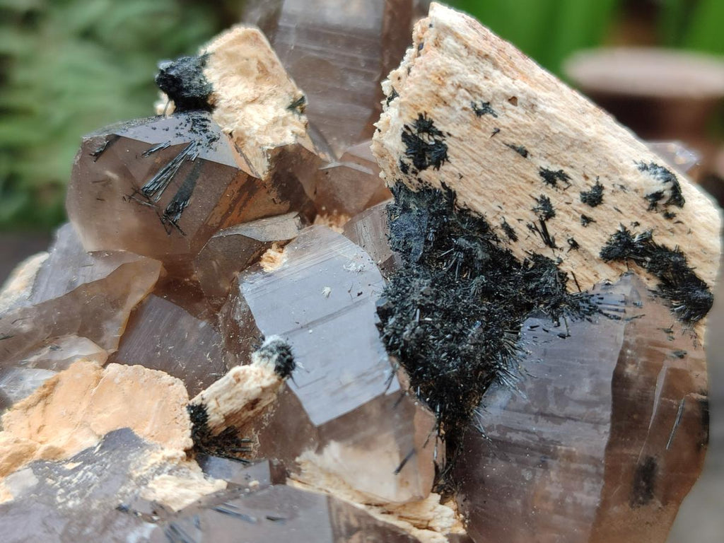 Natural Smokey Quartz Clusters with Associated Minerals x 6 From Erongo, Namibia - Toprock Gemstones and Minerals 