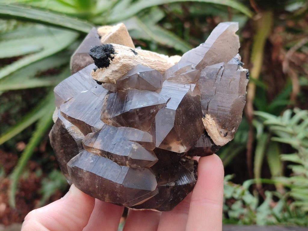 Natural Smokey Quartz Clusters with Associated Minerals x 6 From Erongo, Namibia - Toprock Gemstones and Minerals 