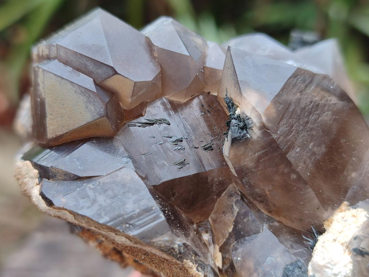 Natural Smokey Quartz Clusters with Associated Minerals x 6 From Erongo, Namibia - Toprock Gemstones and Minerals 