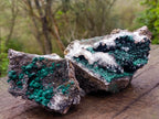 Natural Cabinet Size Ball Malachite Specimens Coated with Drusy Quartz on Dolomite x 2 From Mindingi Mine, Kambove, Congo