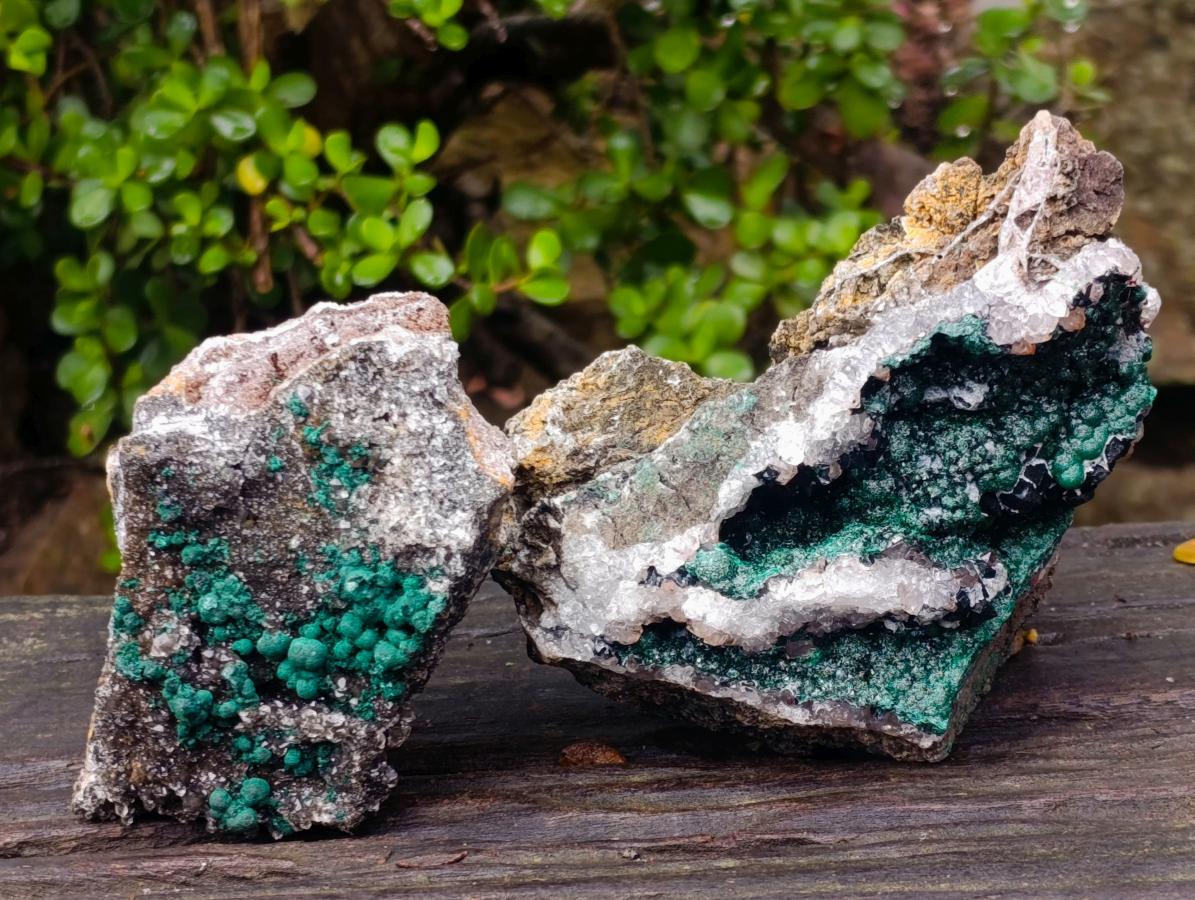 Natural Cabinet Size Ball Malachite Specimens Coated with Drusy Quartz on Dolomite x 2 From Mindingi Mine, Kambove, Congo