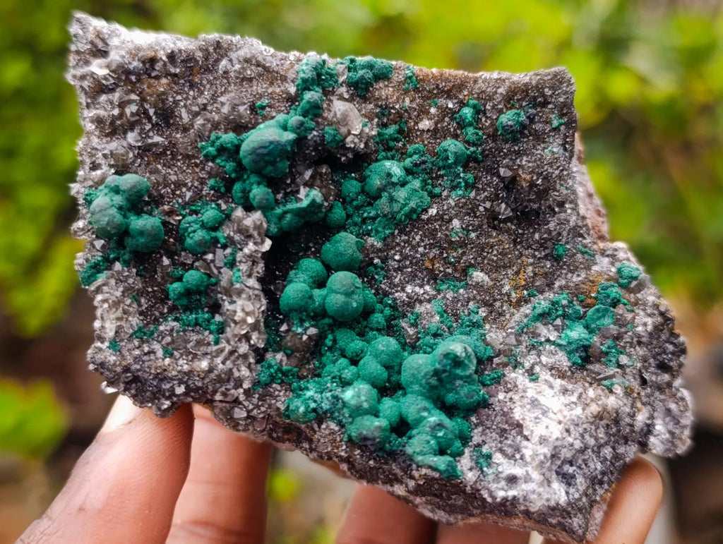 Natural Cabinet Size Ball Malachite Specimens Coated with Drusy Quartz on Dolomite x 2 From Mindingi Mine, Kambove, Congo