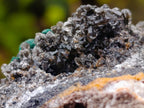 Natural Cabinet Size Ball Malachite Specimens Coated with Drusy Quartz on Dolomite x 2 From Mindingi Mine, Kambove, Congo