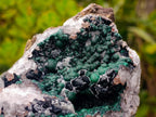 Natural Cabinet Size Ball Malachite Specimens Coated with Drusy Quartz on Dolomite x 2 From Mindingi Mine, Kambove, Congo