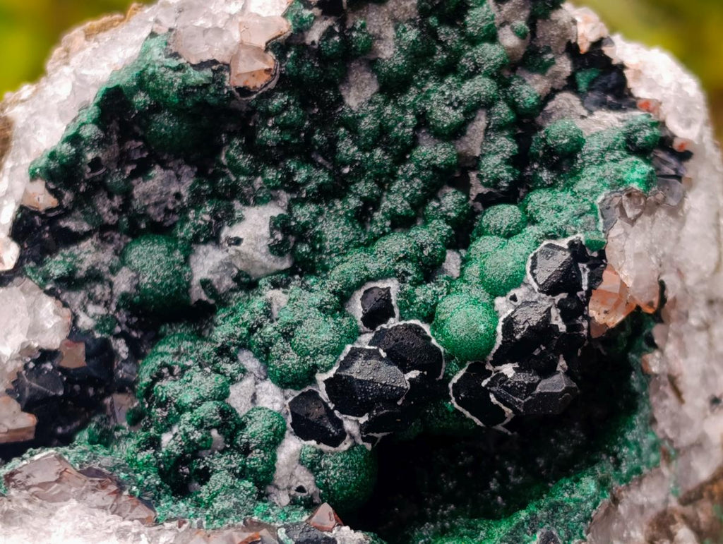 Natural Cabinet Size Ball Malachite Specimens Coated with Drusy Quartz on Dolomite x 2 From Mindingi Mine, Kambove, Congo