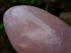 Polished Gemmy Rose Quartz Standing Display Pieces x 2 From Madagascar - Toprock Gemstones and Minerals 