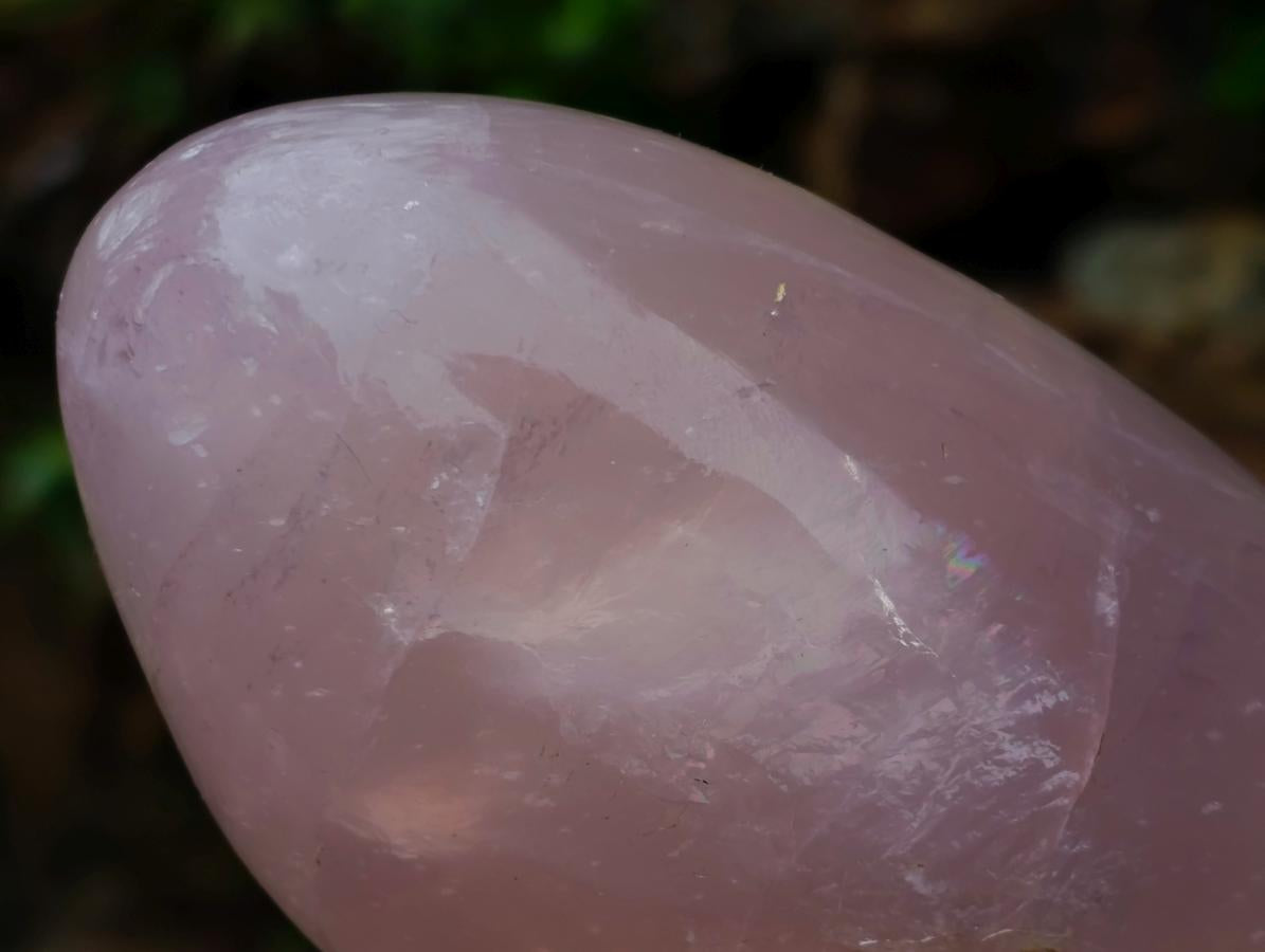 Polished Gemmy Rose Quartz Standing Display Pieces x 2 From Madagascar - Toprock Gemstones and Minerals 