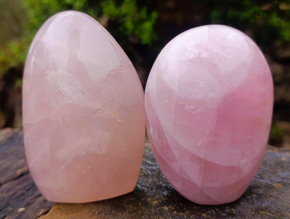 Polished Gemmy Rose Quartz Standing Display Pieces x 2 From Madagascar - Toprock Gemstones and Minerals 