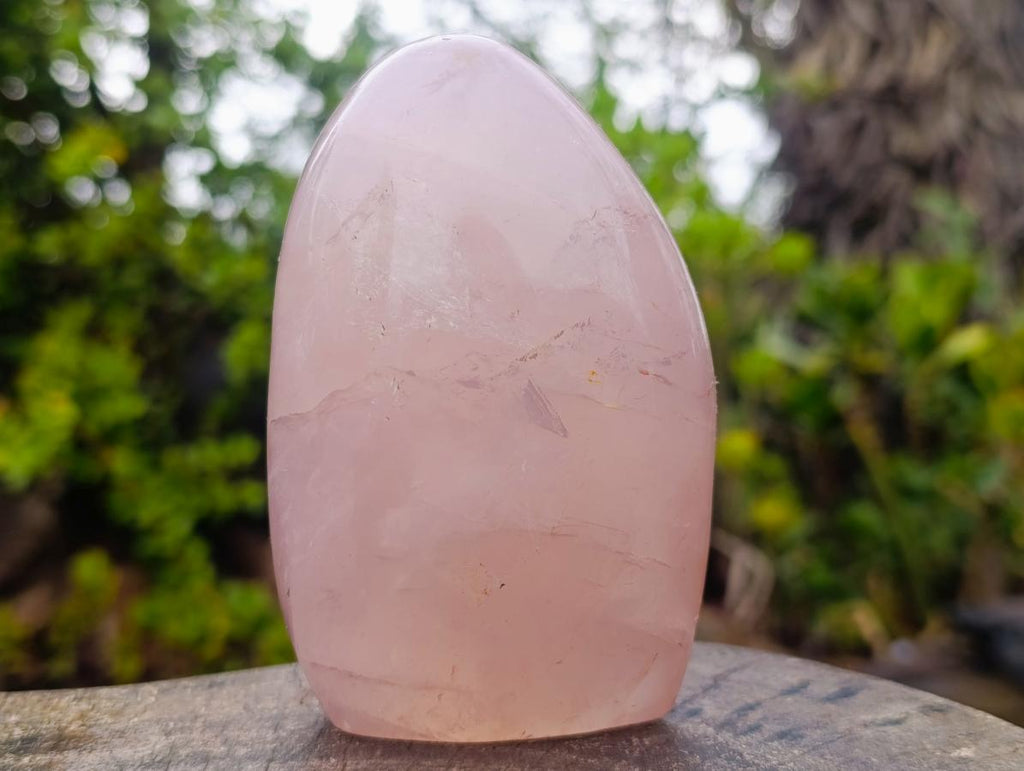 Polished Gemmy Rose Quartz Standing Display Pieces x 2 From Madagascar - Toprock Gemstones and Minerals 
