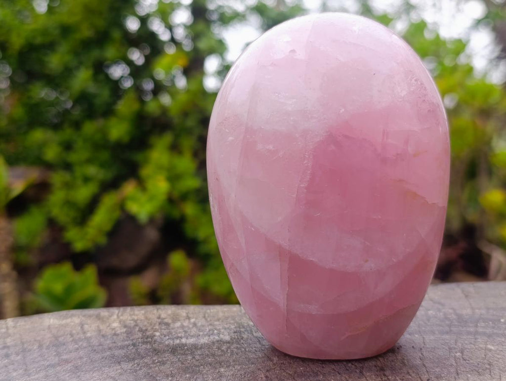 Polished Gemmy Rose Quartz Standing Display Pieces x 2 From Madagascar - Toprock Gemstones and Minerals 