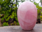 Polished Gemmy Rose Quartz Standing Display Pieces x 2 From Madagascar - Toprock Gemstones and Minerals 