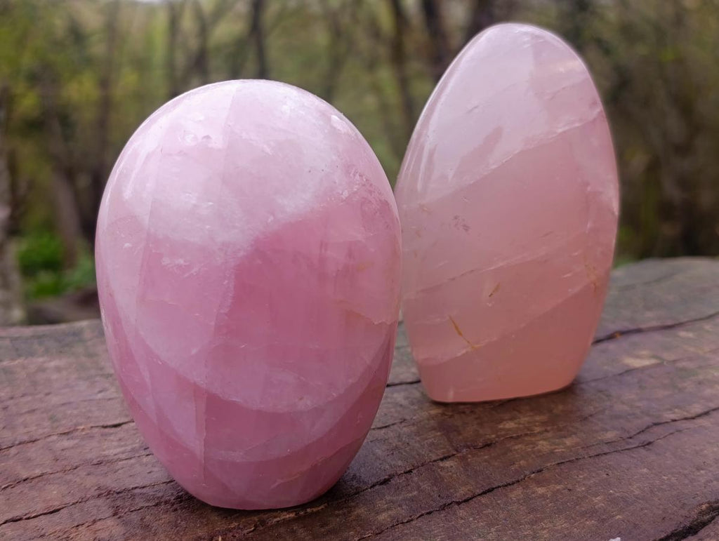 Polished Gemmy Rose Quartz Standing Display Pieces x 2 From Madagascar - Toprock Gemstones and Minerals 