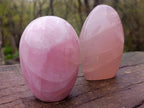 Polished Gemmy Rose Quartz Standing Display Pieces x 2 From Madagascar - Toprock Gemstones and Minerals 