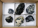 Natural Schorl Black Tourmaline Specimens x 6 From Erongo, Namibia - Toprock Gemstones and Minerals 