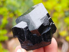 Natural Schorl Black Tourmaline Specimens x 6 From Erongo, Namibia - Toprock Gemstones and Minerals 