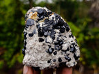 Natural Schorl Black Tourmaline Specimens x 6 From Erongo, Namibia - Toprock Gemstones and Minerals 