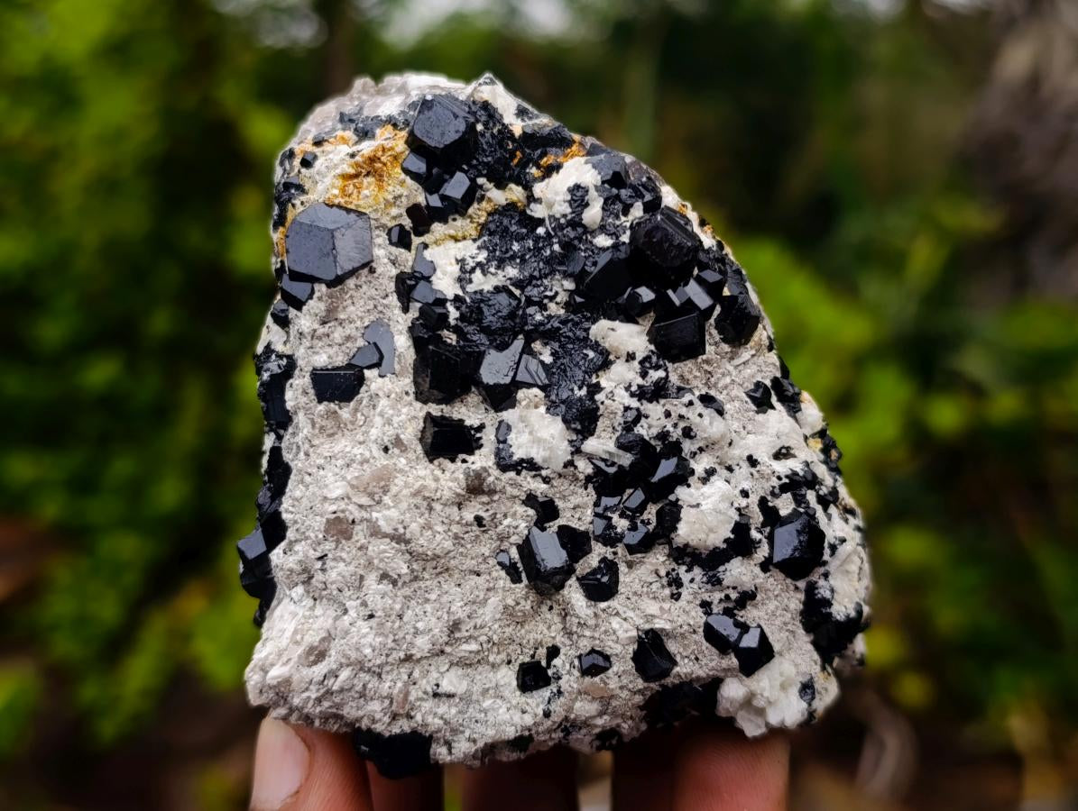 Natural Schorl Black Tourmaline Specimens x 6 From Erongo, Namibia - Toprock Gemstones and Minerals 