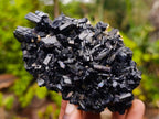 Natural Schorl Black Tourmaline Specimens x 6 From Erongo, Namibia - Toprock Gemstones and Minerals 