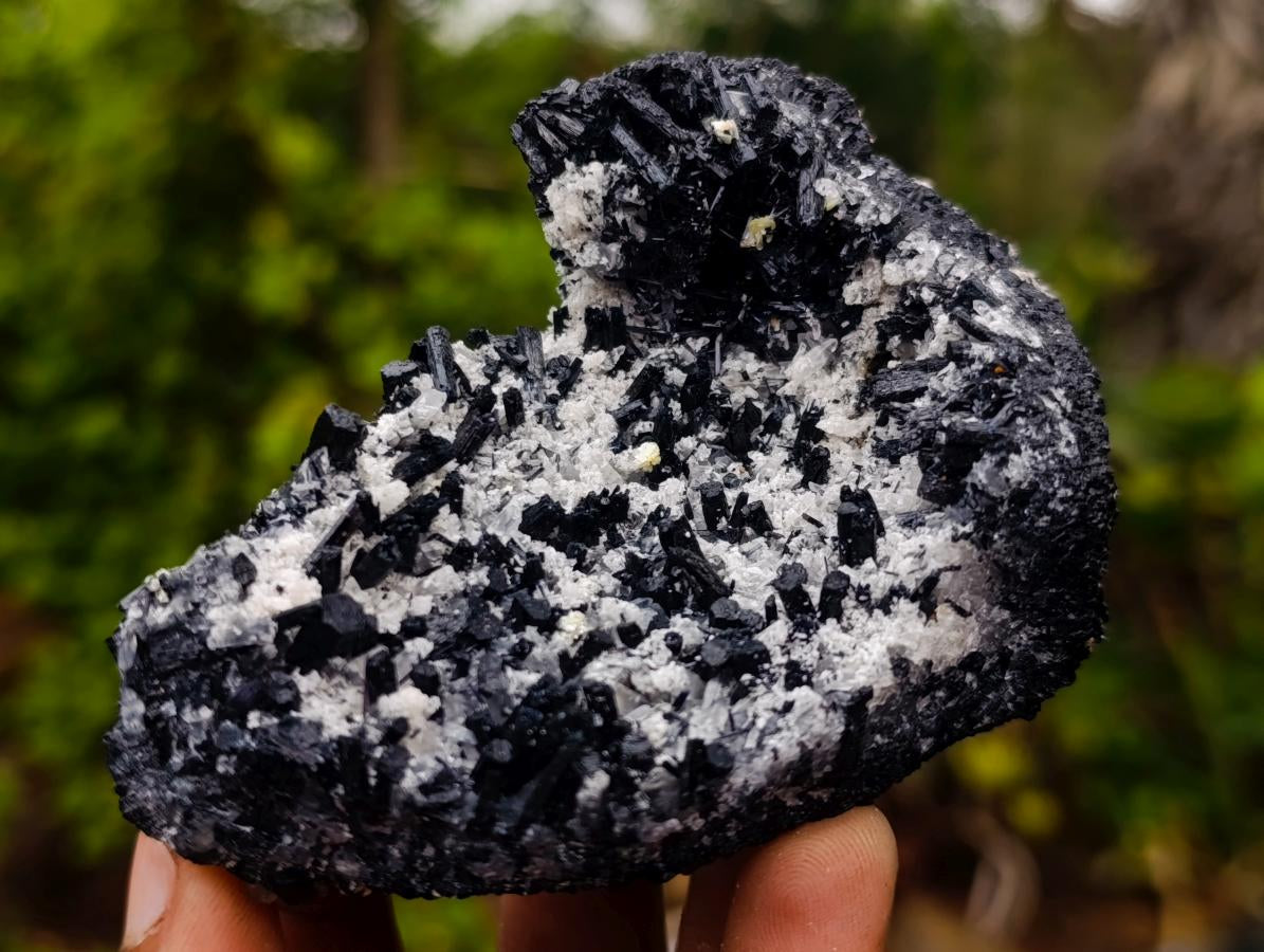 Natural Schorl Black Tourmaline Specimens x 6 From Erongo, Namibia - Toprock Gemstones and Minerals 