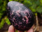 Polished Rhodonite Gemstone Eggs x 6 From Ambindavato, Madagascar - Toprock Gemstones and Minerals 