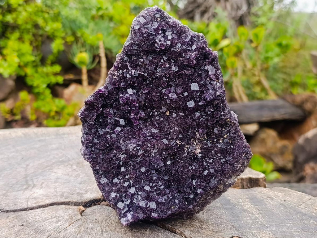 Natural Mix of Mineral Specimens x 2 From Erongo, Namibia - Toprock Gemstones and Minerals 