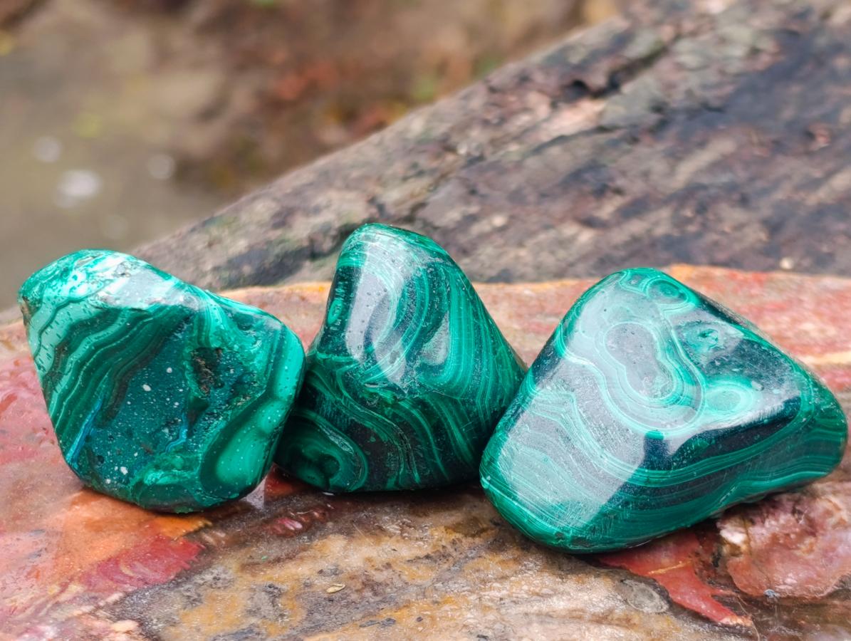 Polished Flower Banded Malachite Free Forms x 20 From Congo - Toprock Gemstones and Minerals 