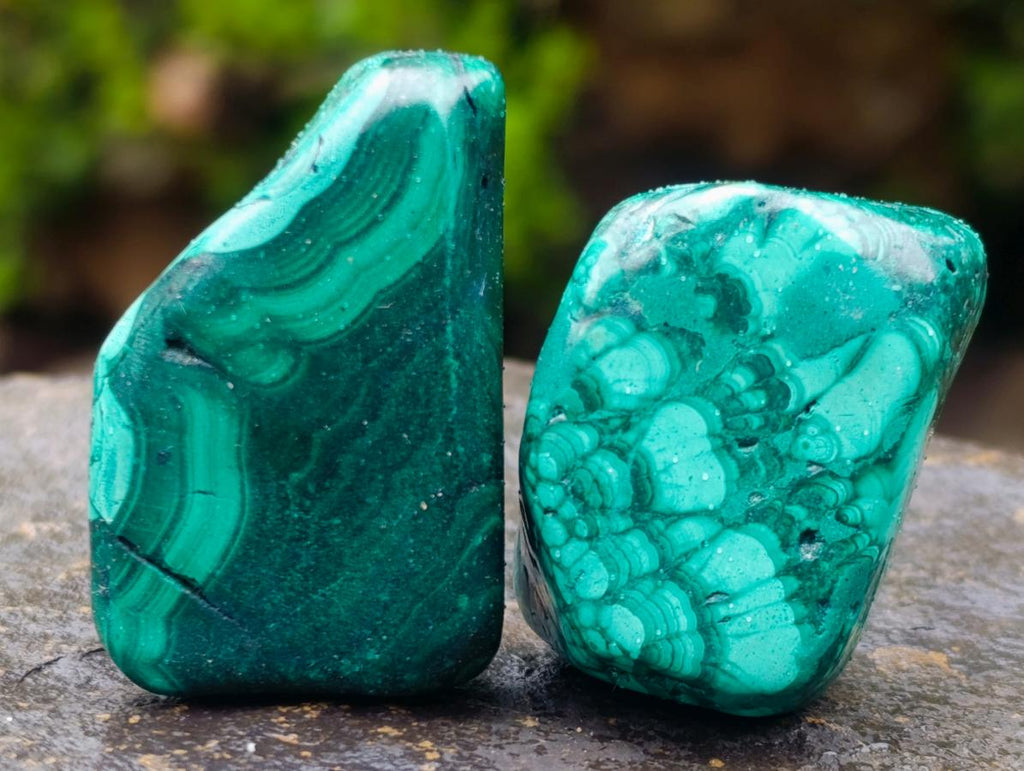 Polished Flower Banded Malachite Free Forms x 20 From Congo - Toprock Gemstones and Minerals 