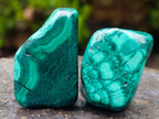 Polished Flower Banded Malachite Free Forms x 20 From Congo - Toprock Gemstones and Minerals 