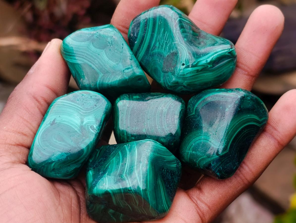 Polished Flower Banded Malachite Free Forms x 20 From Congo - Toprock Gemstones and Minerals 