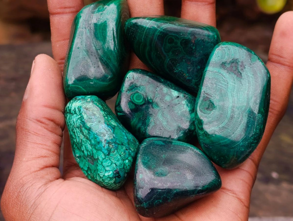 Polished Flower Banded Malachite Free Forms x 20 From Congo - Toprock Gemstones and Minerals 