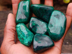 Polished Flower Banded Malachite Free Forms x 20 From Congo - Toprock Gemstones and Minerals 